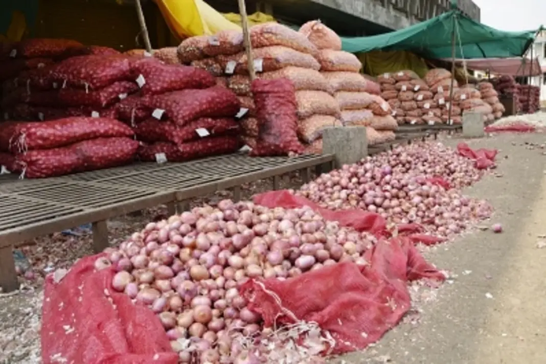 Onion- Price
