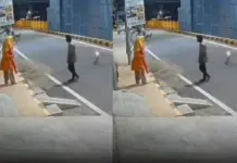 Tamil Nadu Viral Video: Incredible! Stray Dog Saves Woman From Alleged Rape Attempt, Check Tamil- Nadu- Viral- Video