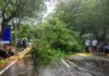 Cyclone Arnab Devastates Andhra Pradesh, Causes 5 Fatalities and Damage to Agriculture, Naidu Extends Help to Victims Cyclone- Arnab