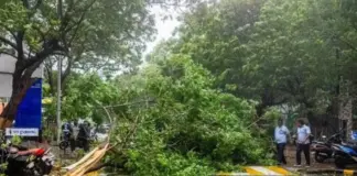 Cyclone Arnab Devastates Andhra Pradesh, Causes 5 Fatalities and Damage to Agriculture, Naidu Extends Help to Victims Cyclone- Arnab