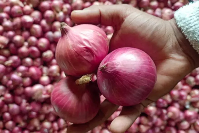 Onion- Price